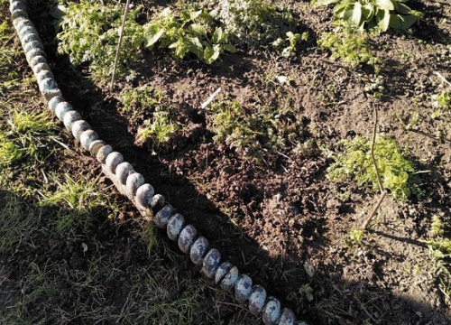 Gardening update